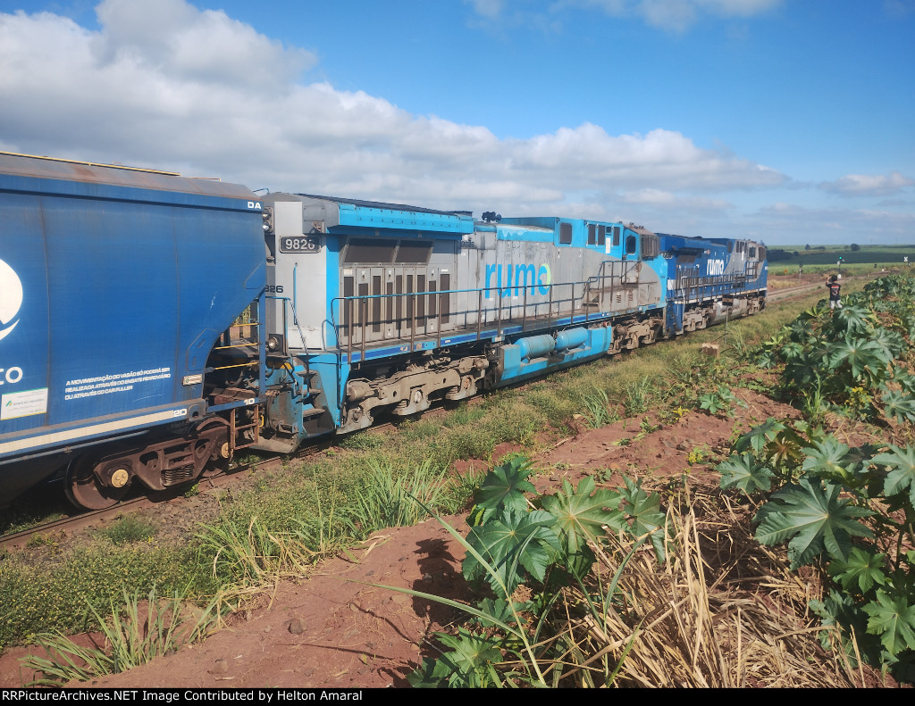 RUMO 9826